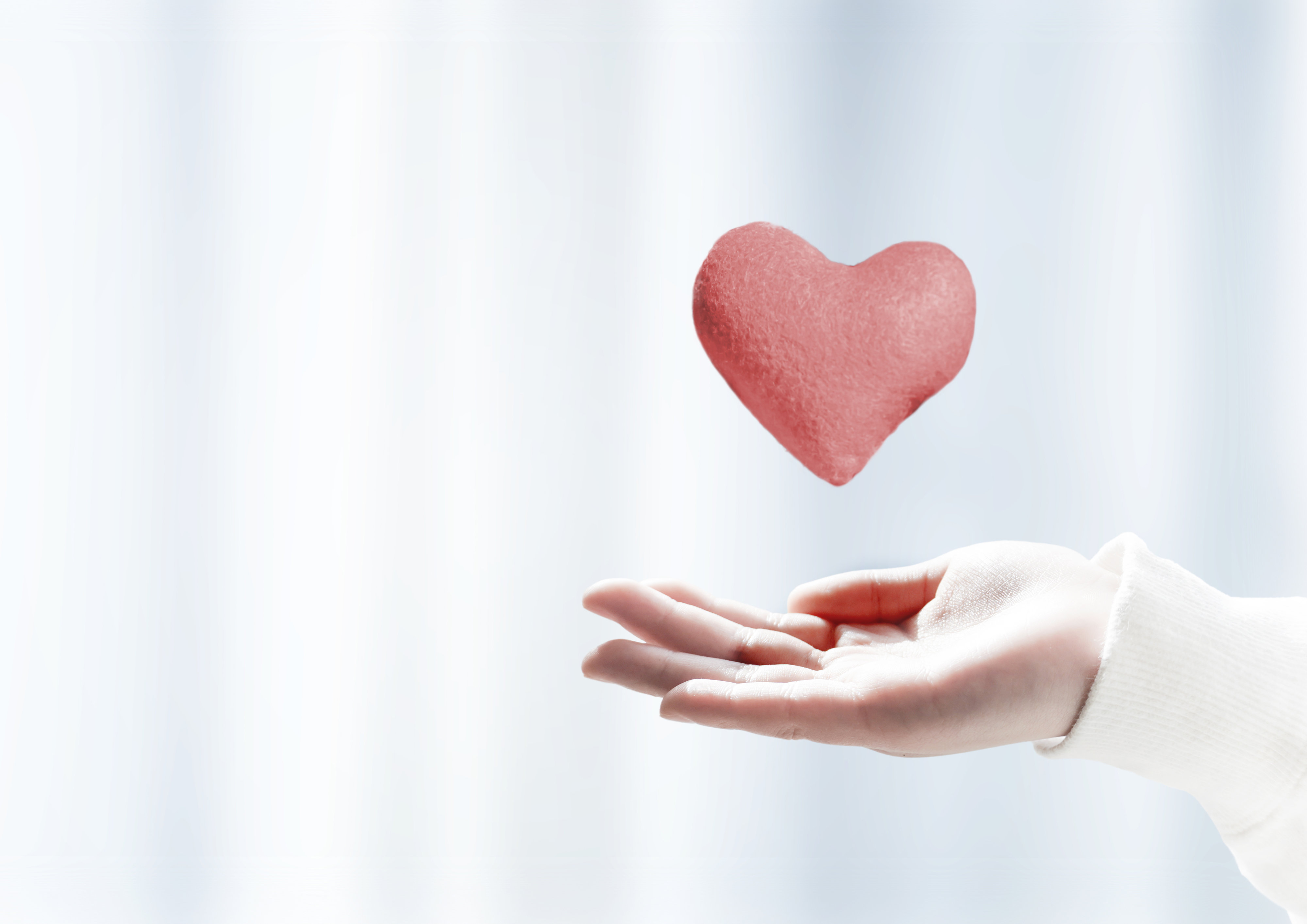 pixta_106261032_L.jpg